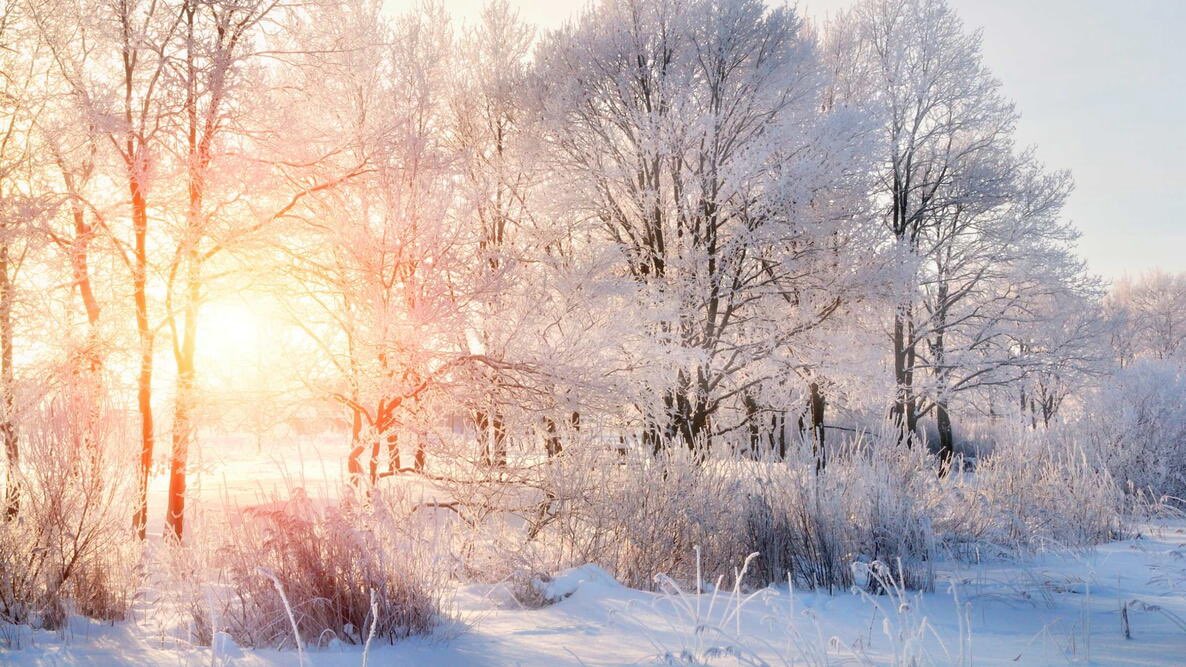 dcdixon24's tweet image. Everything has a season! Don&apos;t hold on to what is no longer, and miss what God has for you now. Be present and look forward.

&quot;He has made everything beautiful in its time.&quot; — Ecclesiastes 3:11

#NewSeason #LetGo