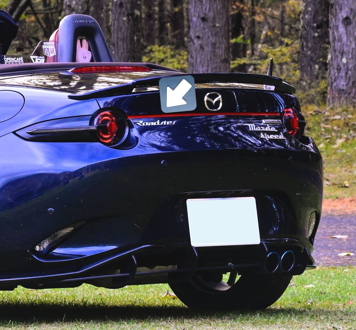 エンブレム着けまくるのはどうかと思うんだが、 i8の次はCarreraで何か