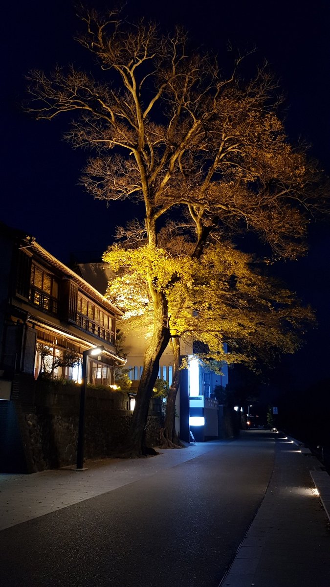 GF_Drive's tweet image. 2018年12月2日