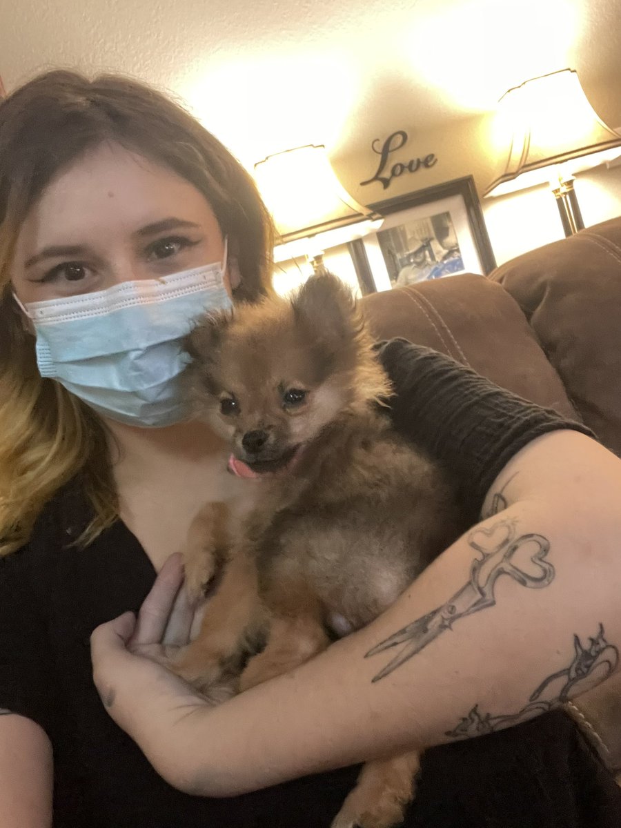 ReaganMHutto's tweet photo. everyone my dad got a new 
pomeranian puppy 

meet cookie https://t.co/OJcny5zwMl