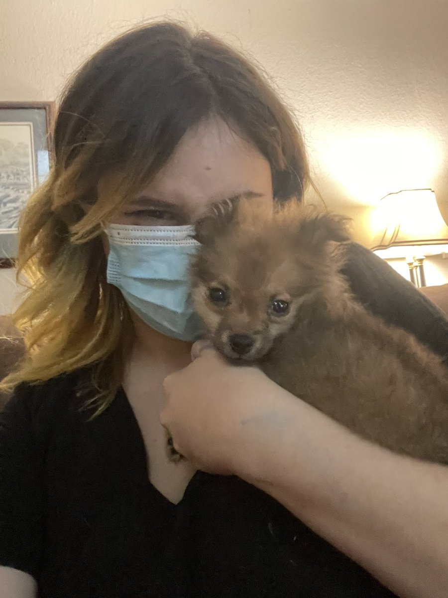 ReaganMHutto's tweet photo. everyone my dad got a new 
pomeranian puppy 

meet cookie https://t.co/OJcny5zwMl