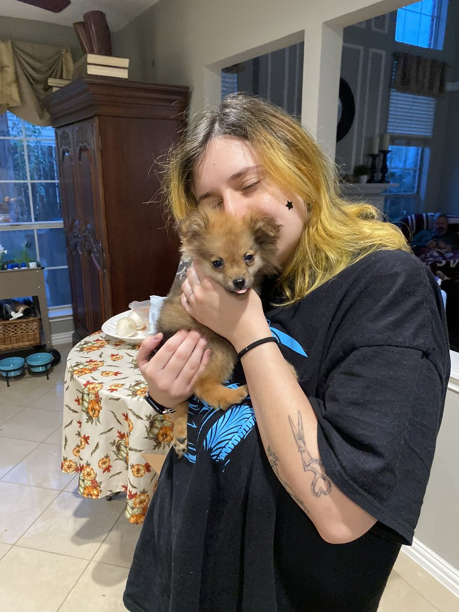 ReaganMHutto's tweet photo. everyone my dad got a new 
pomeranian puppy 

meet cookie https://t.co/OJcny5zwMl