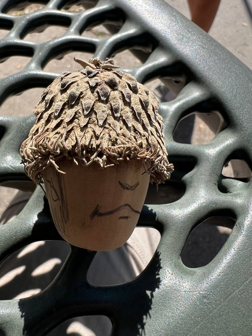 #どんぐり #リドローOK ＃アナログ sketch.pixiv.net/items/84779284…