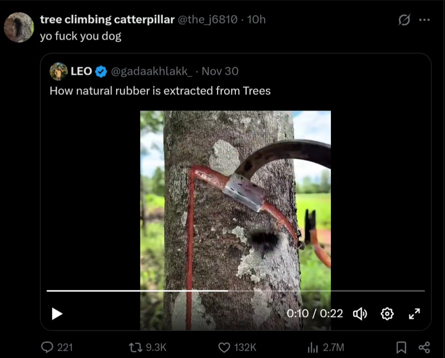 Somegoobything's tweet image. the caterpillar can just reply now??💔