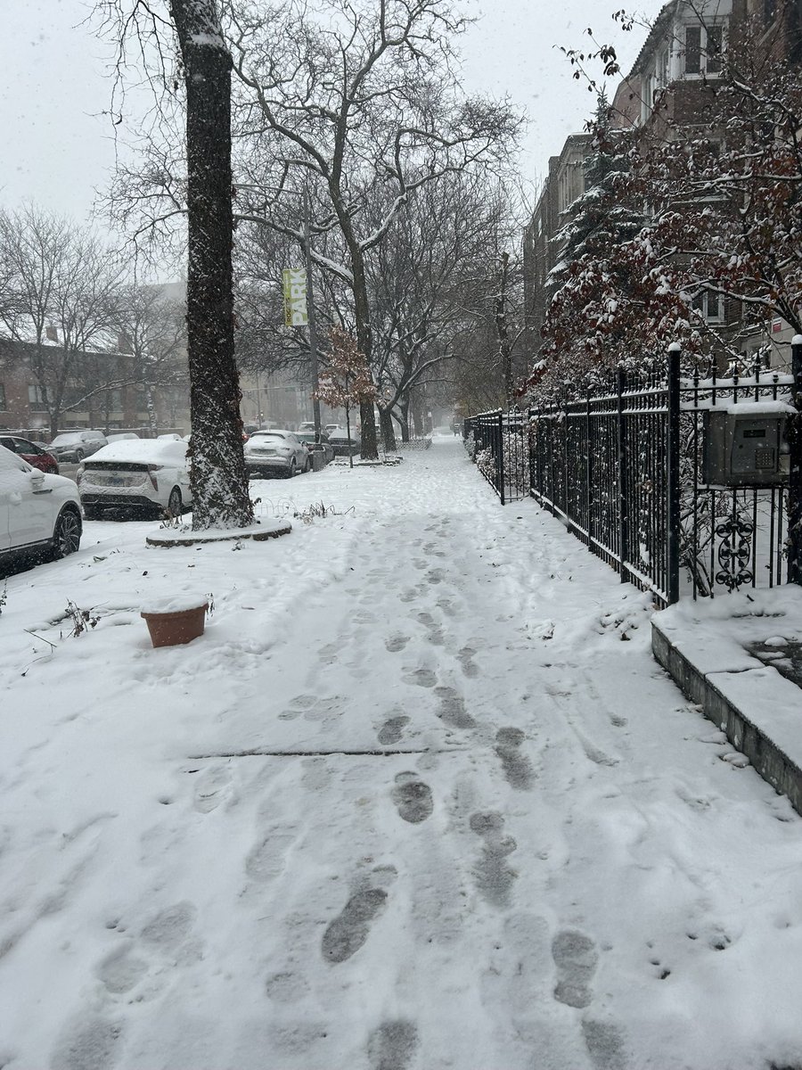 Titi Mogaji (@titimogaji) on Twitter photo 