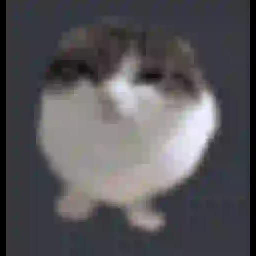 Voy a prender un rato de charla acerca de unas cositas y despues a jugar where the winds meet!  vengan o no les doy budin navideño

twitch.tv/aidenrougevin

#VtuberES