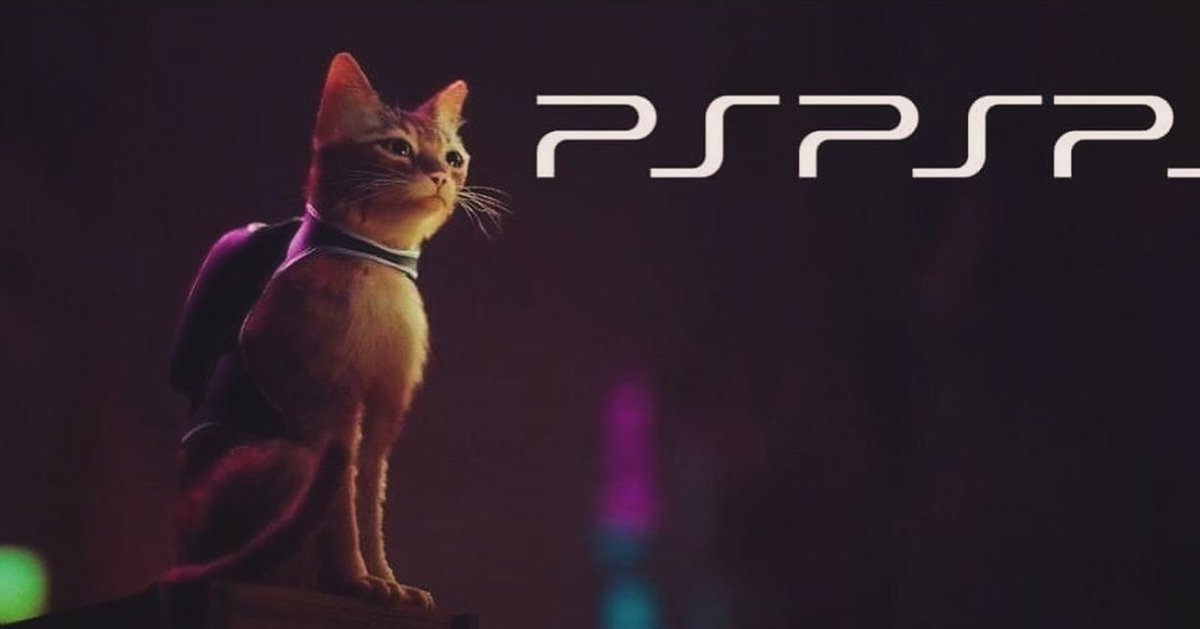 Punch Cat (@punchingcat) on Twitter photo 