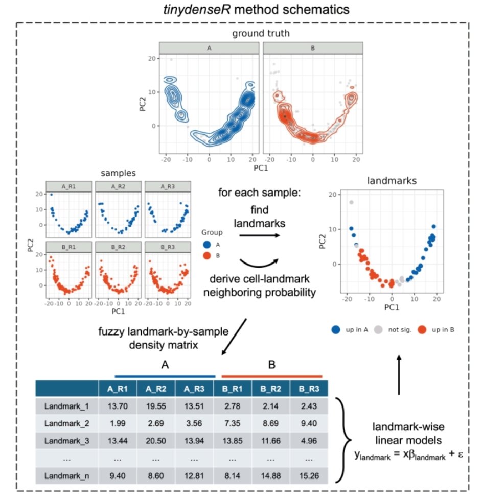 ascanet's tweet image. Pedro Milanez-Almeida ... Elena Orlando presented tinydenseR, a clustering-independent framework that enables robust, scalable, and statistically sensitive detection of differential cell states.

➡️ biorxiv.org/content/10.110…

#SingleCell #SpatialBiology