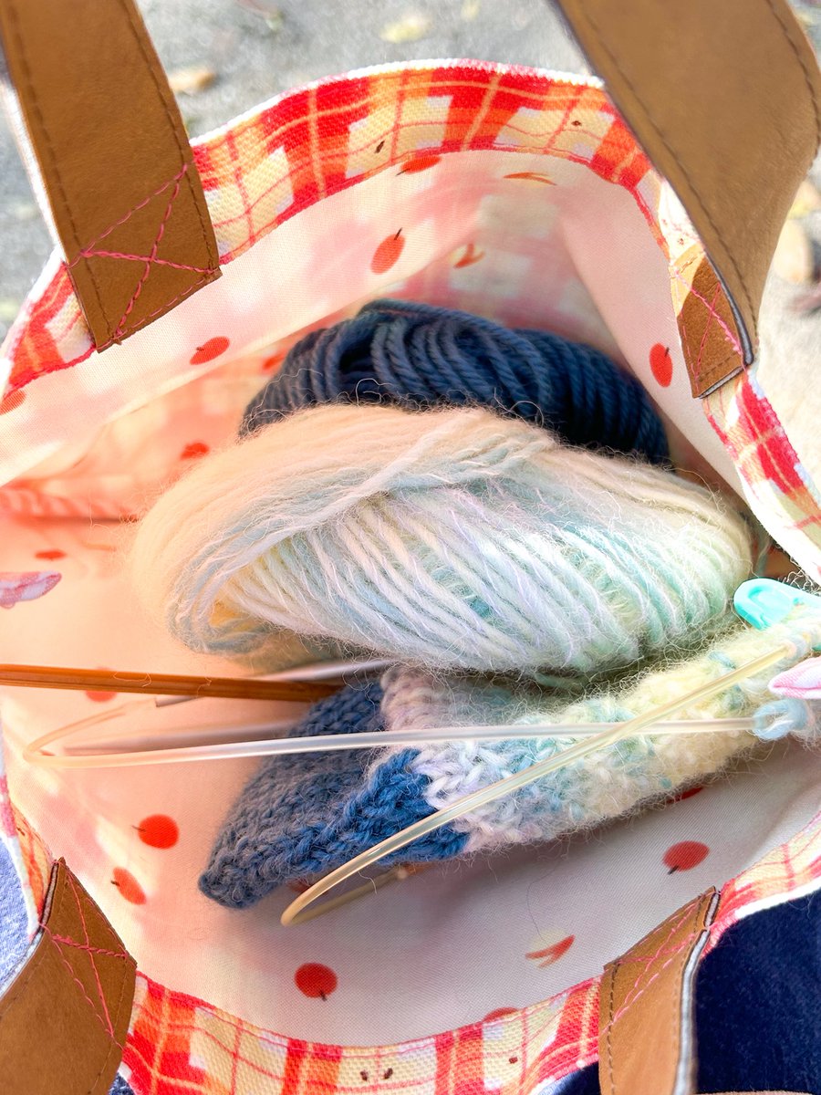 新作のミニトート、靴下のモバ編みにぴったりサイズだった✨
11歳娘が近くの体育館で、フリースクールの体育してるから、終わるまで公園のベンチで初モバ編み🧶