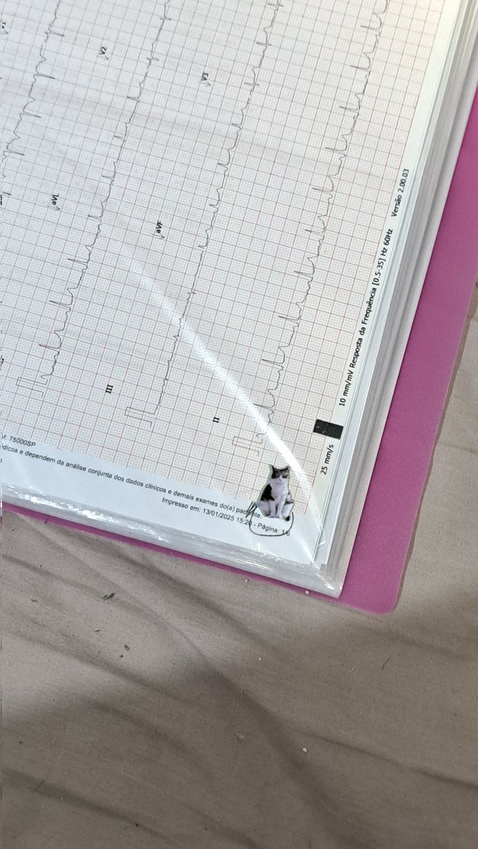 municassa's tweet image. binder novo de exames e diagnosticos #kpop #binder #collector