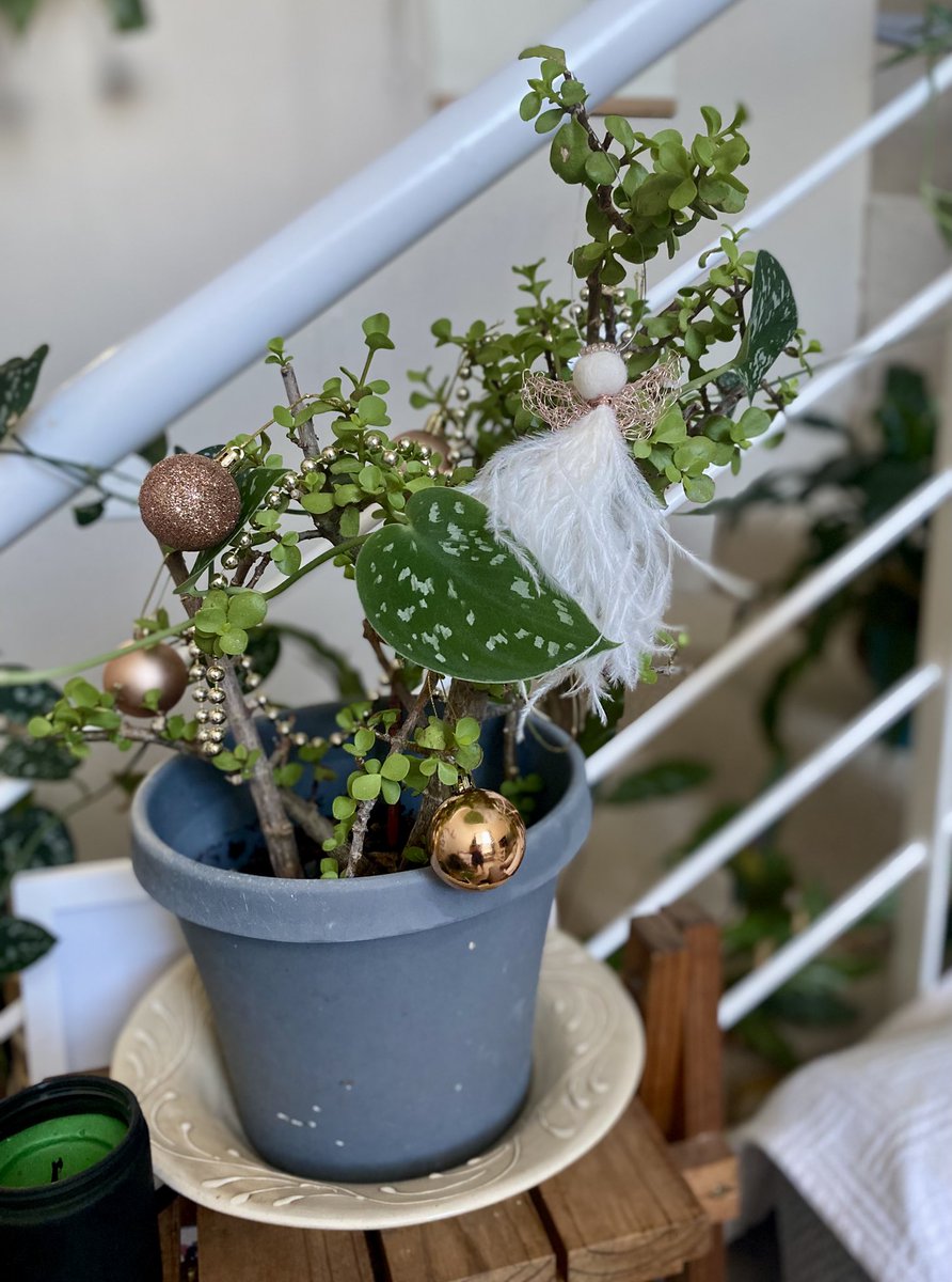 Cilnette tweet media