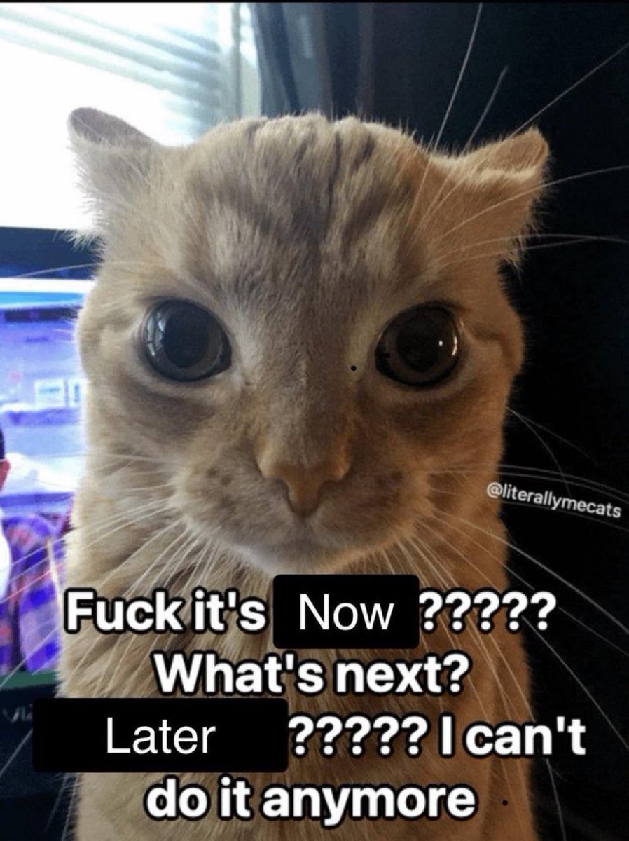 memechaotic's tweet image. 