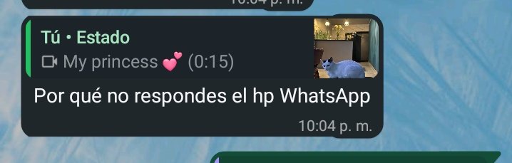 Gabrubyjane's tweet image. Para que macho si ya con la tóxica de mi bestie tengo suficiente