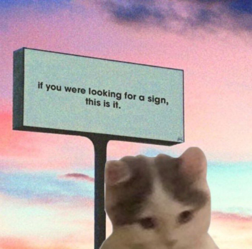 michionsolana's tweet image. 