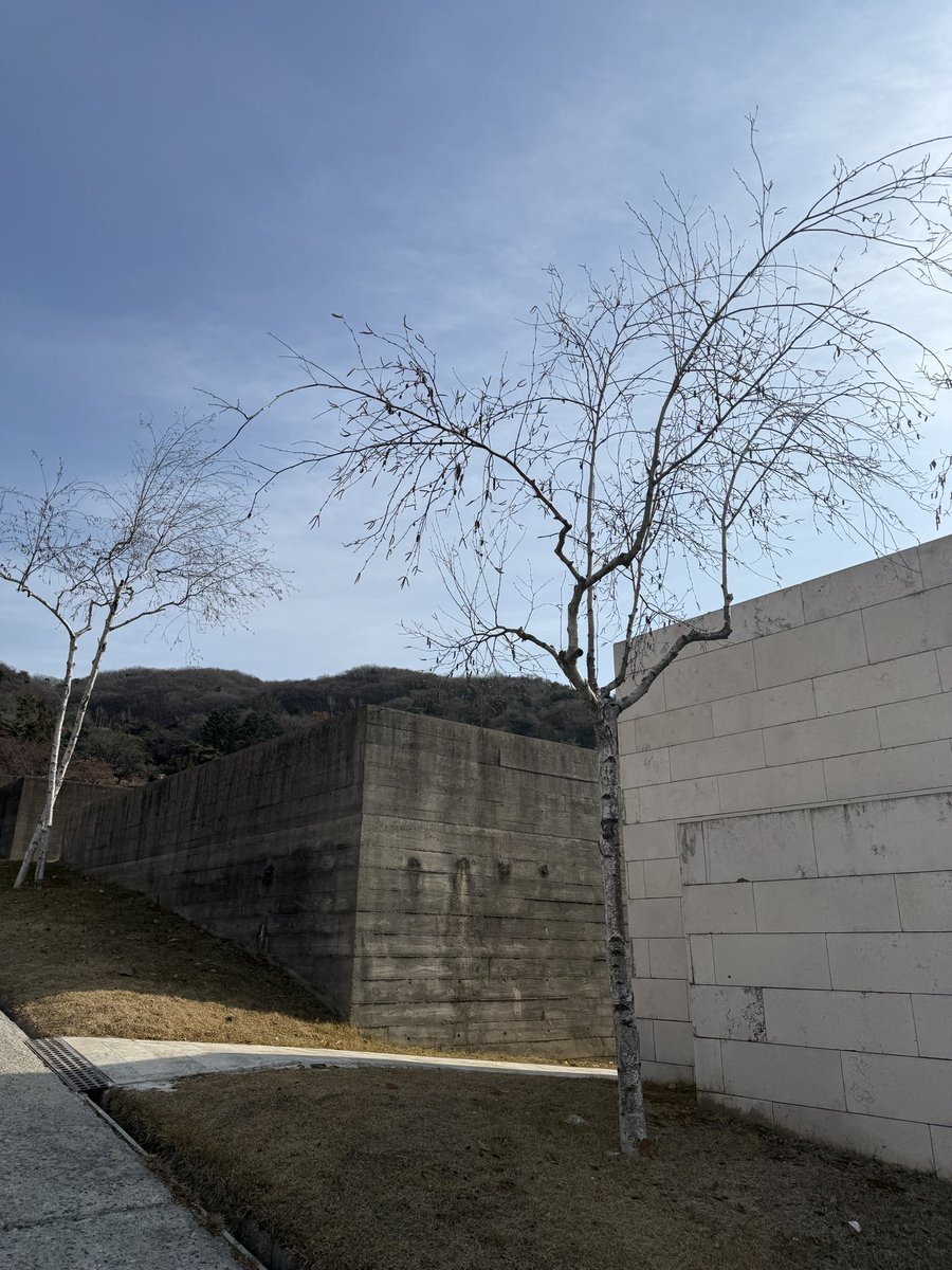 동원아.
하나뿐인 내 아들.

오늘은 네가 보고 싶다는 연락이 여기저기서 오네.
너의 웃음소리, 네 냄새, 그리고 통통한 네 두 뺨을 만지던 기억이 아직도 생생한데, 벌써 3년이란 시간이 흘렀다.
천국에서는 열 살 모습 그대로일지 아니면 어른이 되어가고 있는 건지 알 수 없지만, 너를 다시 만날 그