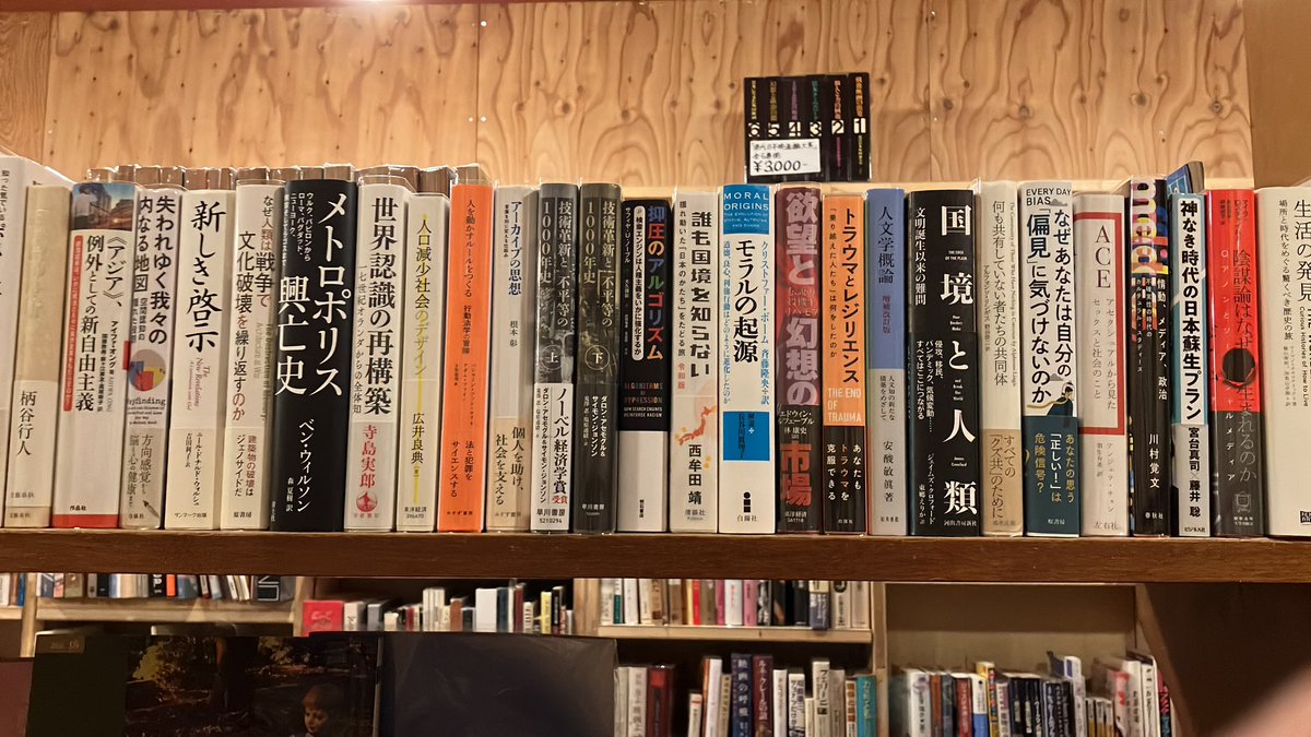 人文大量入荷しました