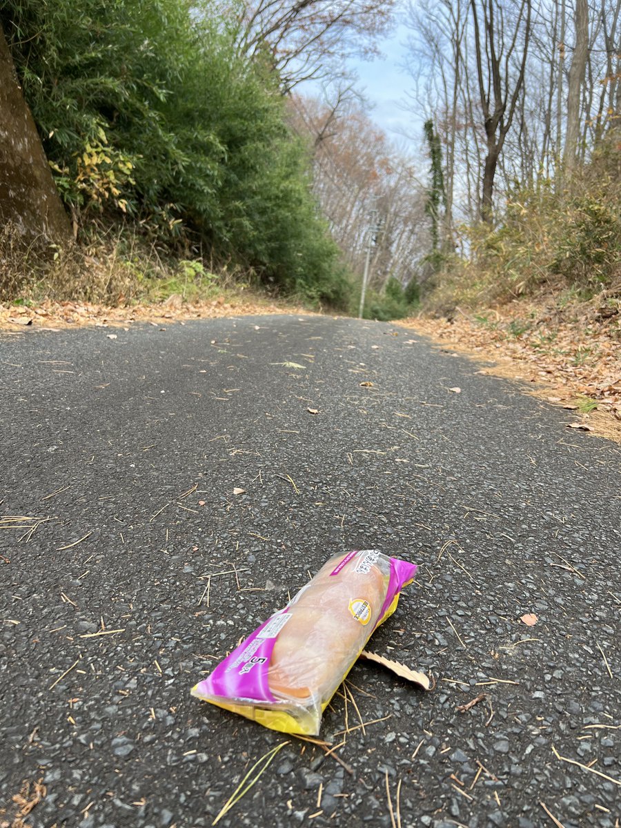 あんぱんの落とし物初めて見た(● ̍̑● ̍̑●)