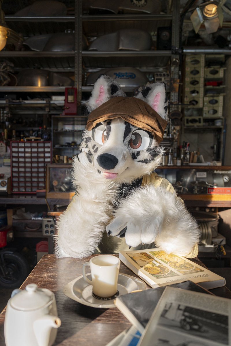 犬伏 犬伏けんた🐾 (@inuinukenken03) / Posts / X