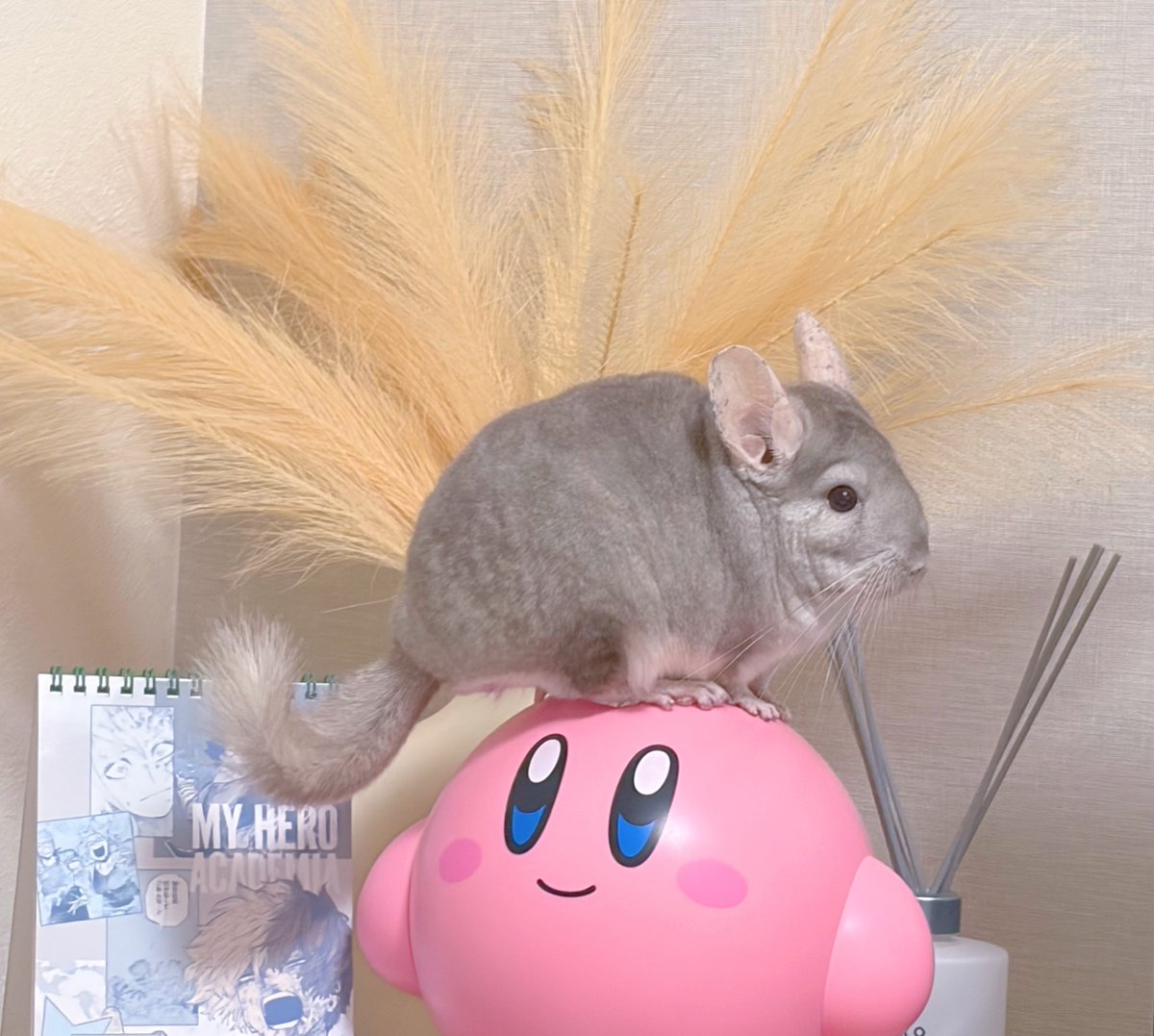 🆕໒꒱ (@__Re18__) / Highlights / X