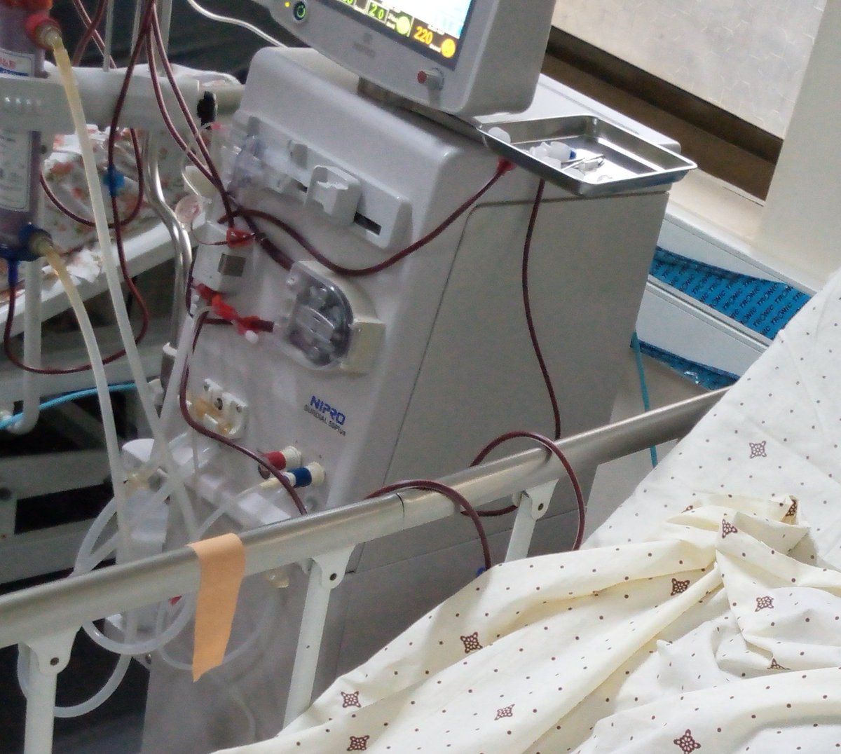 Timothy Eodu tweet media