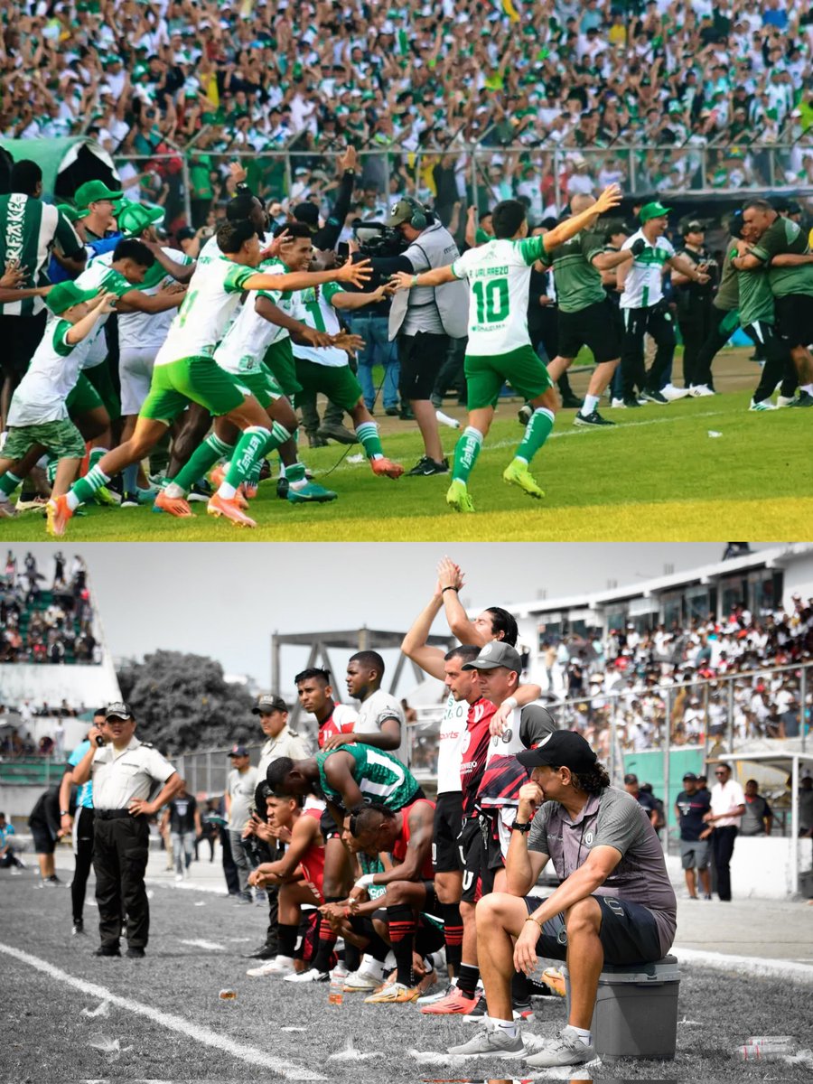 LDUPHincha's tweet image. 𝐀𝐲𝐞𝐫, 𝐥𝐥𝐚𝐧𝐭𝐨 𝐝𝐞 𝐝𝐨𝐥𝐨𝐫. 𝐇𝐨𝐲, 𝐥𝐥𝐚𝐧𝐭𝐨 𝐝𝐞 𝐚𝐥𝐞𝐠í𝐚.

El fútbol nos dió la revancha 🟢⚪
#DaleLaⓊ 🇳🇬