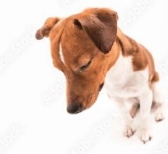 O tempo tá passando rápido demais e isso me entristece, não quero envelhecer, não quero ficar feio