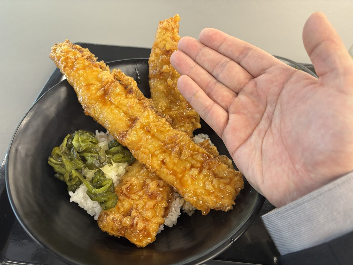 今日の学食は穴子丼、大きいですね。これで500円しないのは凄い！(内部の人でよかったと思う瞬間です笑)TVで紹介されたらしいですよ。サラダは別売りです。