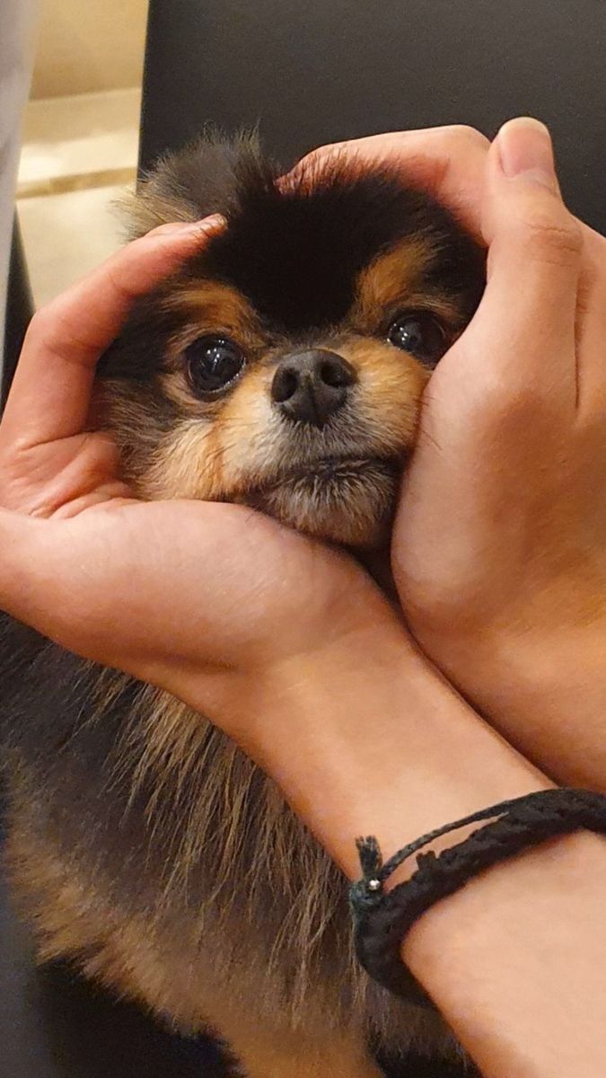 BTS_TAEGB's tweet photo. RIP Yeontan
Today is Yeontan's death anniversary...
I hope his soul rests in peace 🕊️

December 2nd is the worst day for me...🙏 https://t.co/jYyJcdJMIr