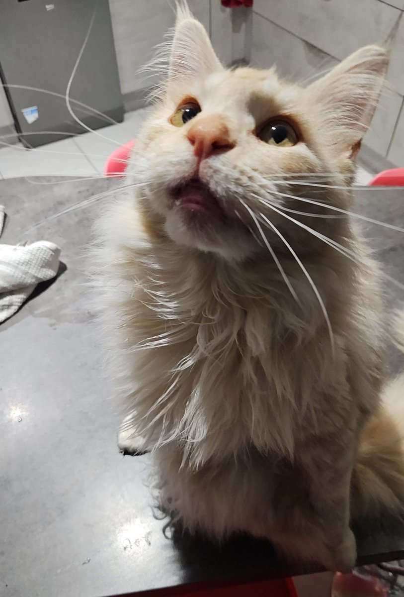 Mathookee's tweet image. Non j&apos;ai pas de jeux sur mon téléphone...