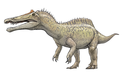 Bull.Falcon (@FalconBull) / Posts / X