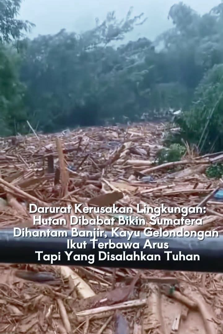 Kalimantan sedang menunggu waktu...
Sulawesi sudah diambang pintu...
Papua segera menyusul...

Masihkah rakyat indonesia diam ? 
Masihkah kepalan tangan disembunyikan ? 
Masihkah amarah dipendam ?