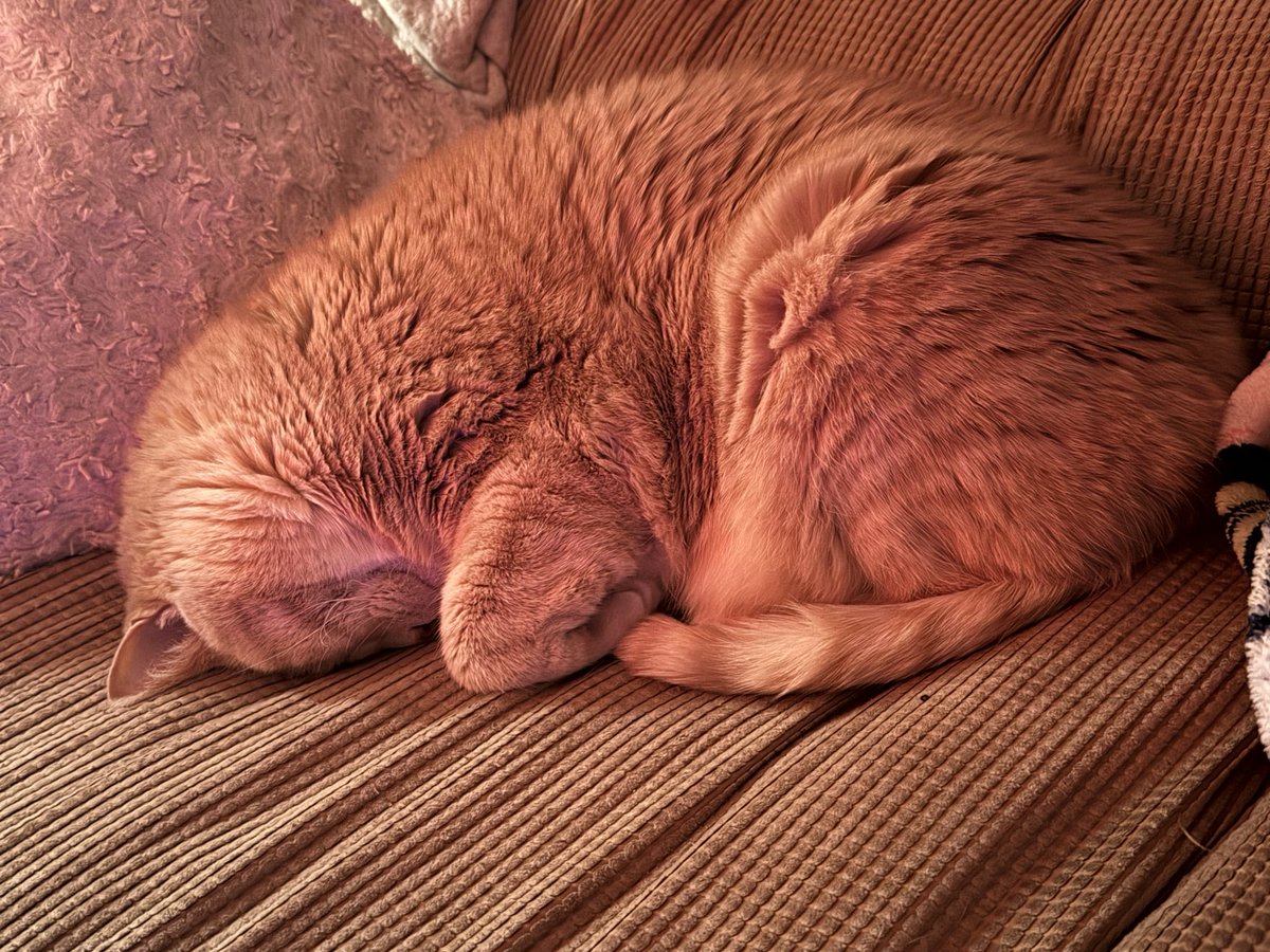 CelestiaLunaVT's tweet image. just another dose of some sweet baby boys for you~💕😻