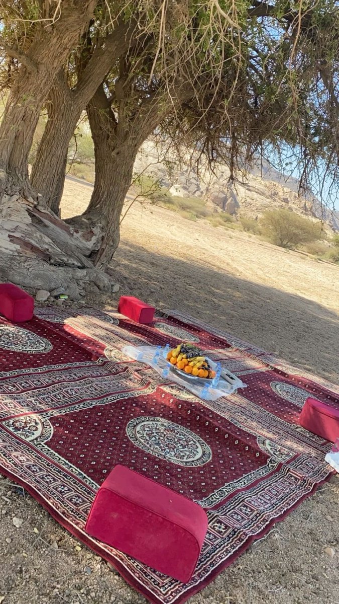 عندما تكتفي بنفسك :
يصبح وجود الناس في حياتك لطيفاً وغيابهم لا يضر .. 🥀

-

#صباح_الخير