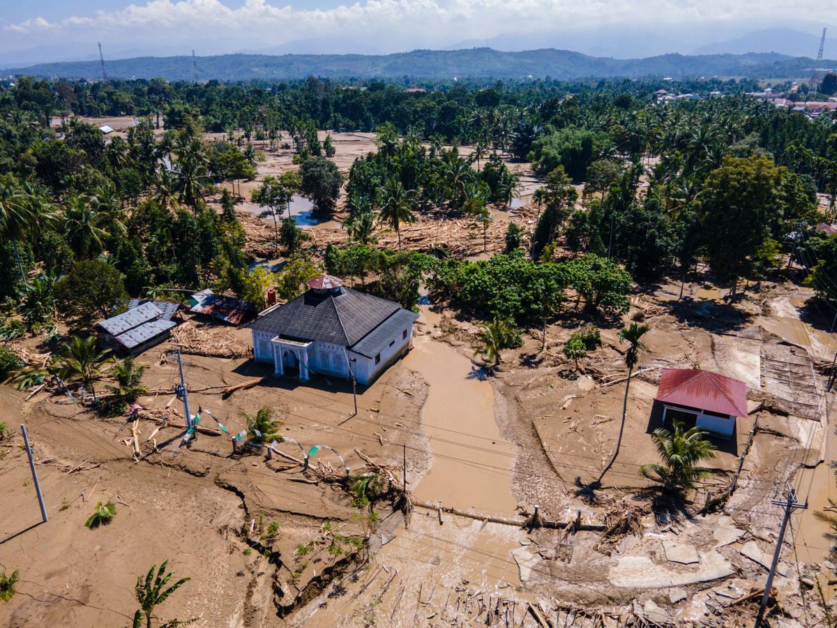 jakpost's tweet photo. The disastrous trap of Indonesia’s extraction strategy - Academia - The Jakarta Post #jakpost https://t.co/gHHR4ryxSR https://t.co/GqVDi1JX42