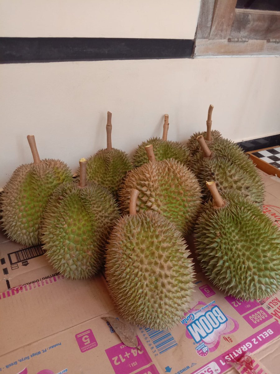 Durian masmuar