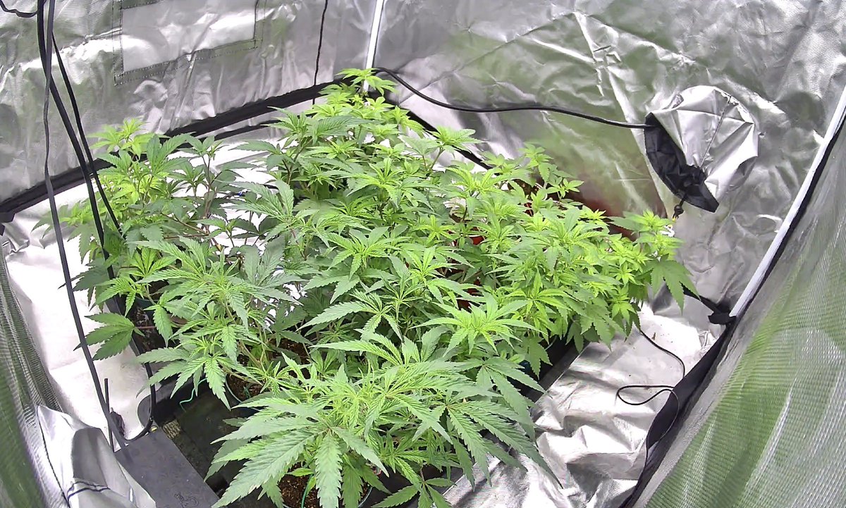 #NorwoodCreekFarms🌲🔥 tweet media