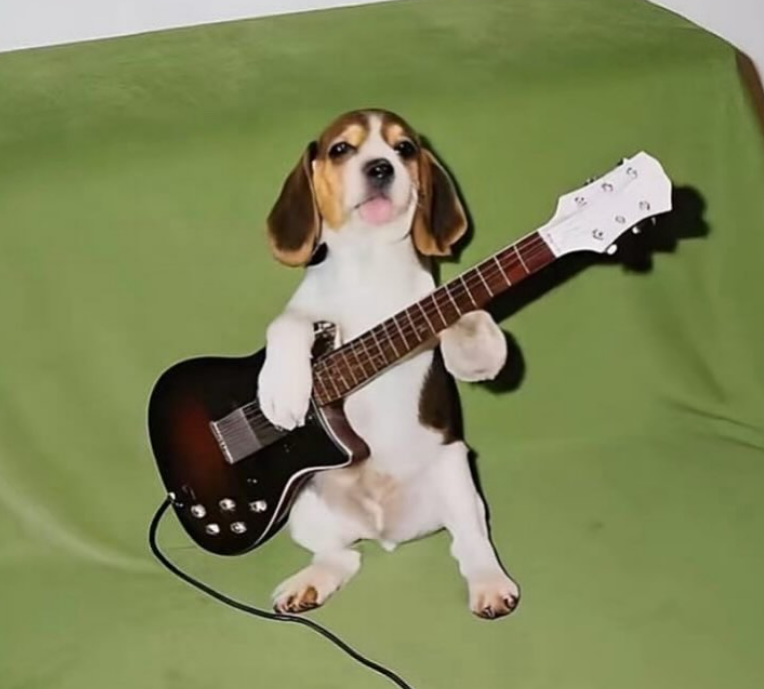 overdesignedd's tweet image. n sei pq tenho essa foto guardada na minha area de trabalho a tanto tempo mas acho q faz sentido