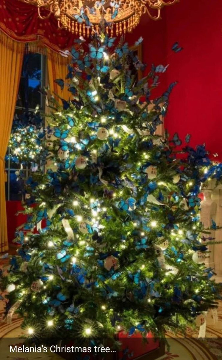 N8DlDF7sWxu0uV8's tweet image. メラニア夫人のクリスマスツリーの写真を再投稿します。ツリー全体に青い蝶がちりばめられているのに気づきました🦋🦋🦋🦋🦋

👇👇👇