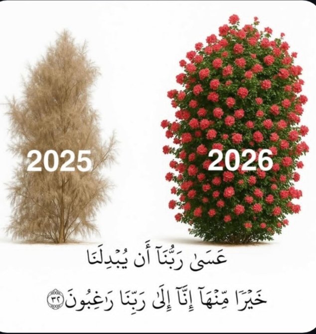 اللهم اجعل خير عُمري آخره، وخير عملي خواتمه، وخير أيامي يوم ألقاك.🤍🌱

#صباح_الخير