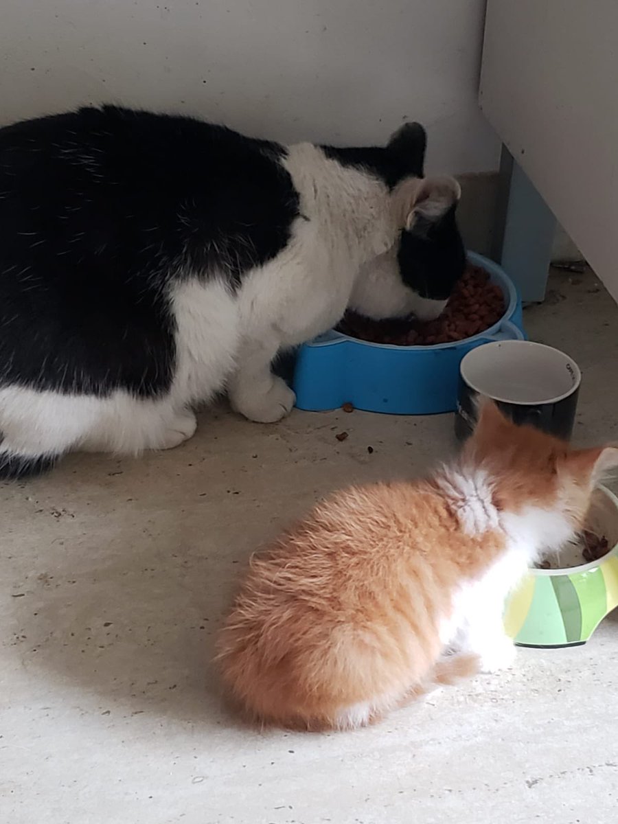 ☹️😭☹️🥺😫😭😢