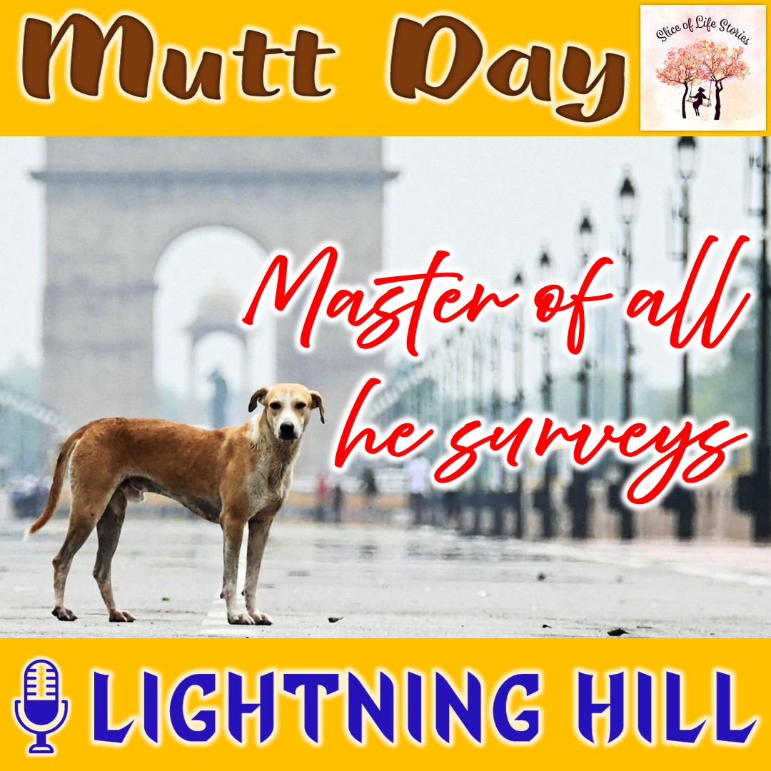 sliceoflife466's tweet photo. Mutt Day with🎙 Lightning Hill
▶ https://t.co/WiqhRM88bq
#lightninghill #bachelor #kindhearted #listen #summer #holiday #thunderstorm #electricstorm #scienceandtechnology #citykids #podcast #muttday #rescuedog #adoptdontshop #mixedbreeddogs #saveastray #shelterdogs #petcare https://t.co/7ZN7XkqKRC