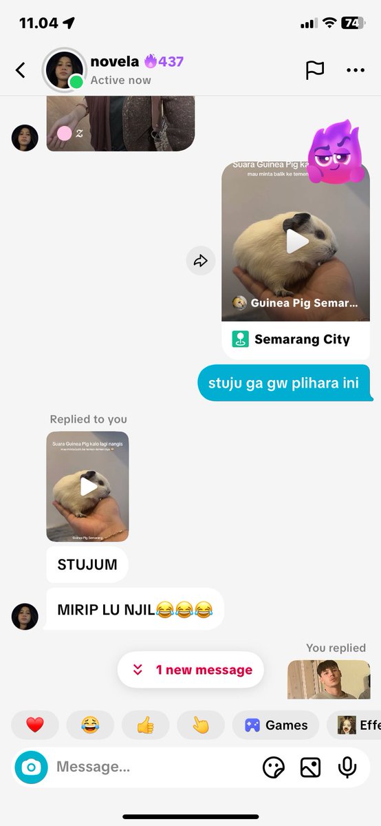 swiftubby's tweet image. gw tanya mirip drimana ajg!! eh tpi lucu bngt dah guinea pig