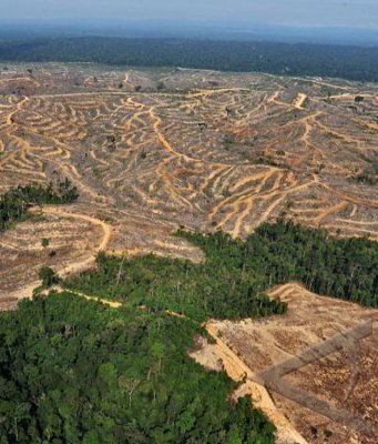 jondhez's tweet image. 