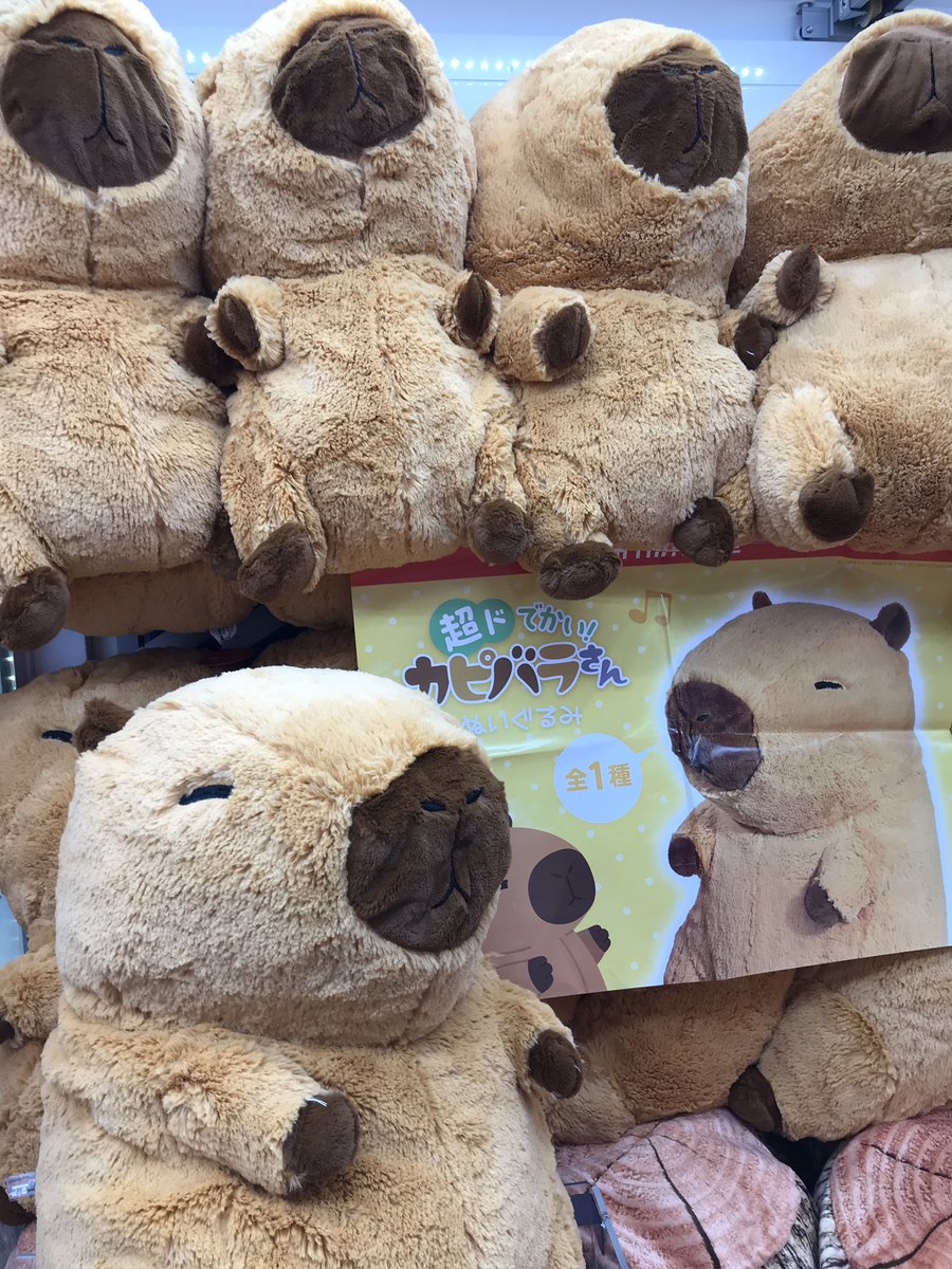 超ドでかい！カピバラさんぬいぐるみ プライズ】新景品 『超ドでかい！カピバラさんぬいぐるみ』が入荷致し