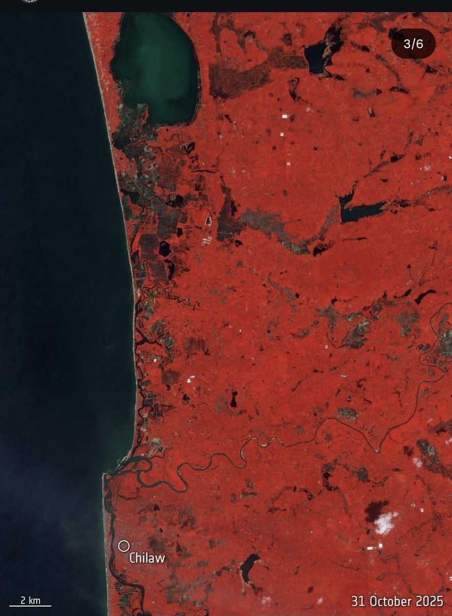 UdithaWije's tweet photo. Flood devastation satellite photo of Puttalam district in Sri Lanka...before and after
#SriLanka #CycloneDitwah #FloodSriLanka #FloodSL https://t.co/69dv8icNQb