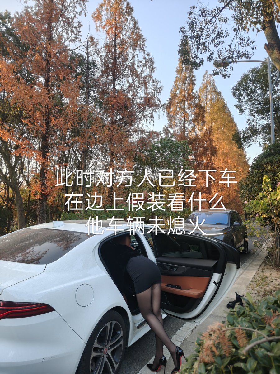 沉沦的人妻 tweet media