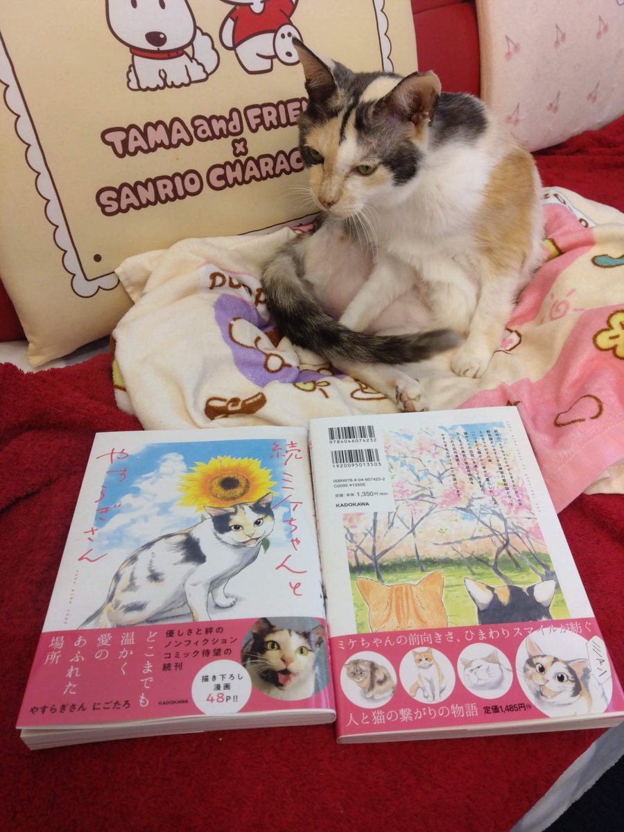 ミケネコ くたっとびより ミケネコ ミニクッション アームレスト