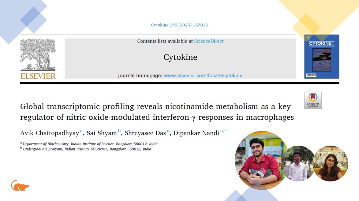 BICS_IISc's tweet image. Many congratulations to MG and DpN lab for their recent publications. Cheeers!!!!😃👏
 For details, see below: