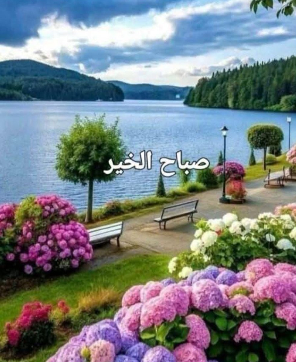 Georjass (@georjass55) on Twitter photo 