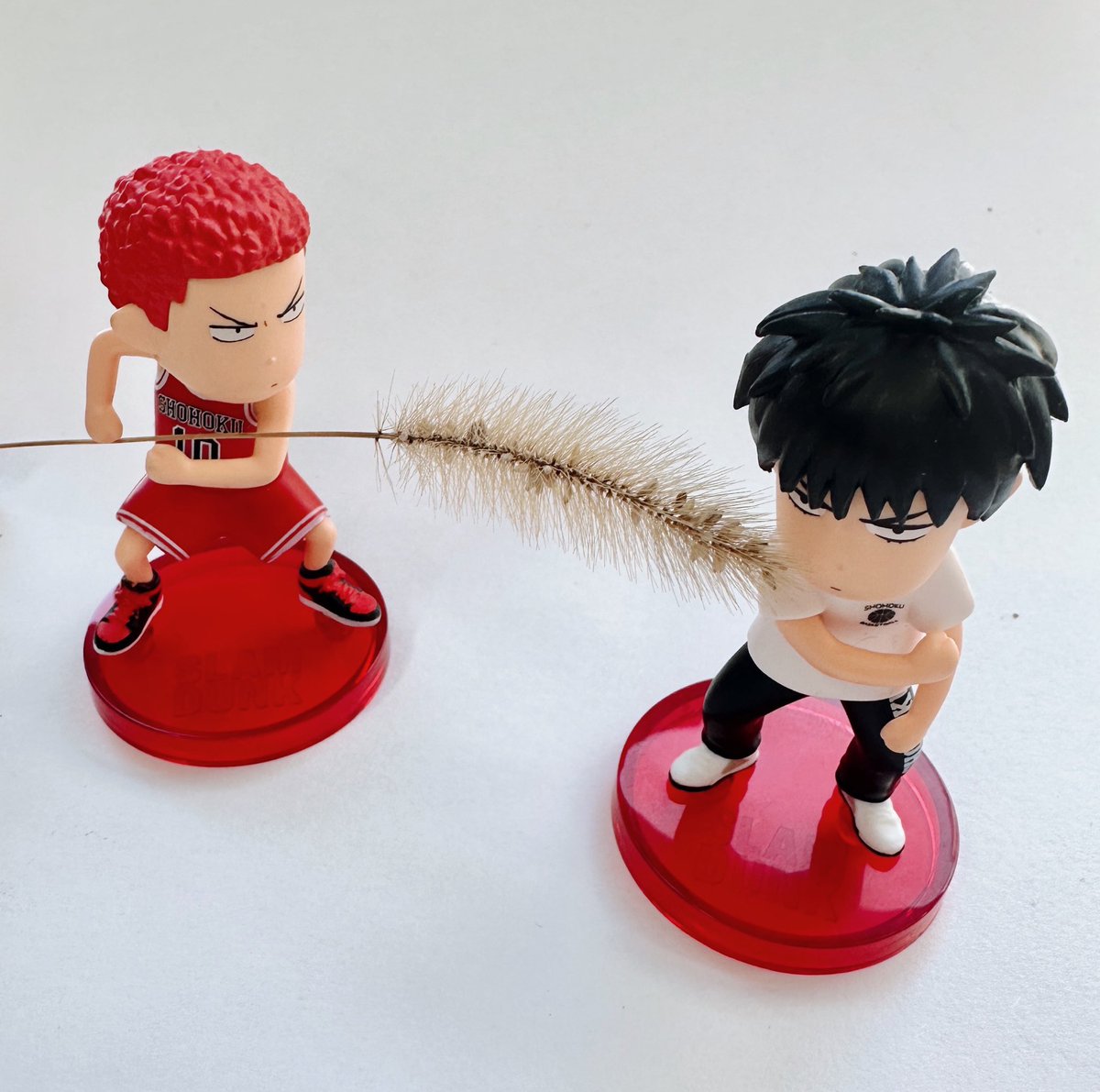 표고버섯 (@pyogopyogoyum) on Twitter photo 